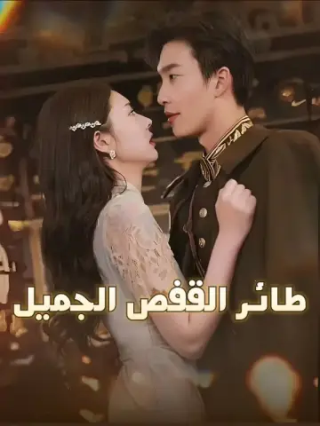 طائر القفص الجميل-1