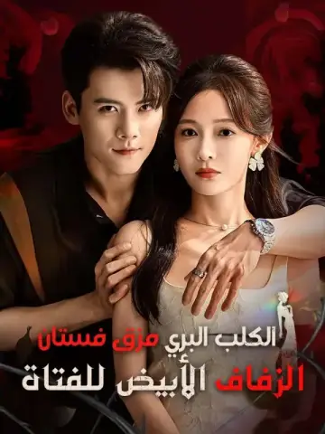 الكلب البري مزق فستان الزفاف الأبيض للفتاة
